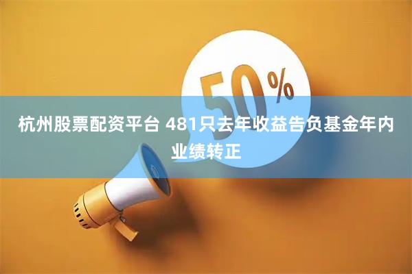 杭州股票配资平台 481只去年收益告负基金年内业绩转正